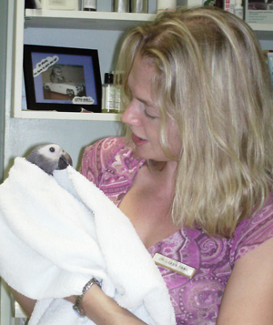 African Grey Health 1